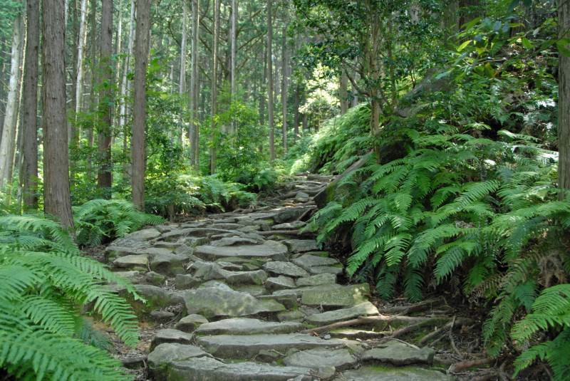 Kumano Kodo Iseji