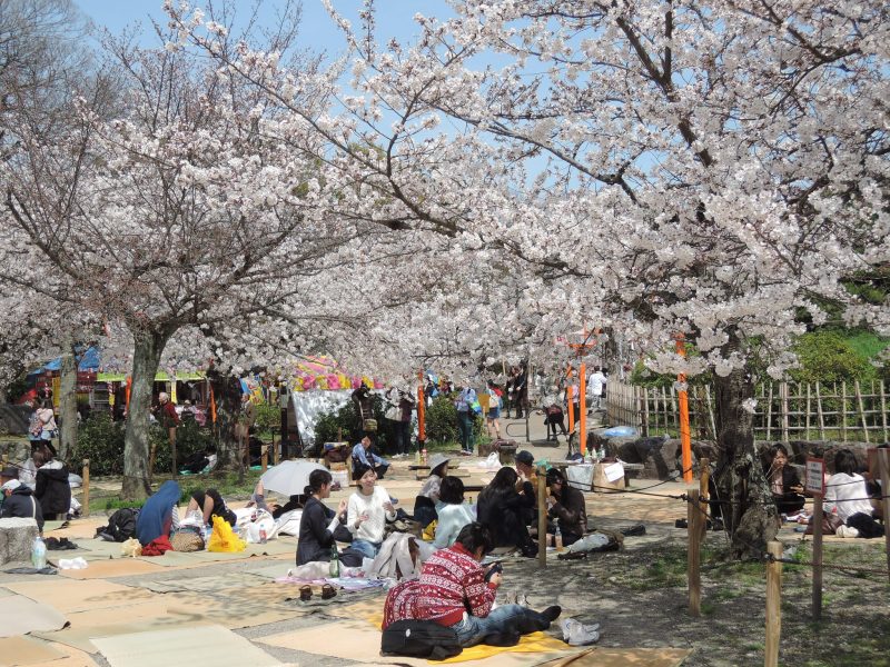 Hanami